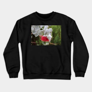 Rose Mallee Crewneck Sweatshirt